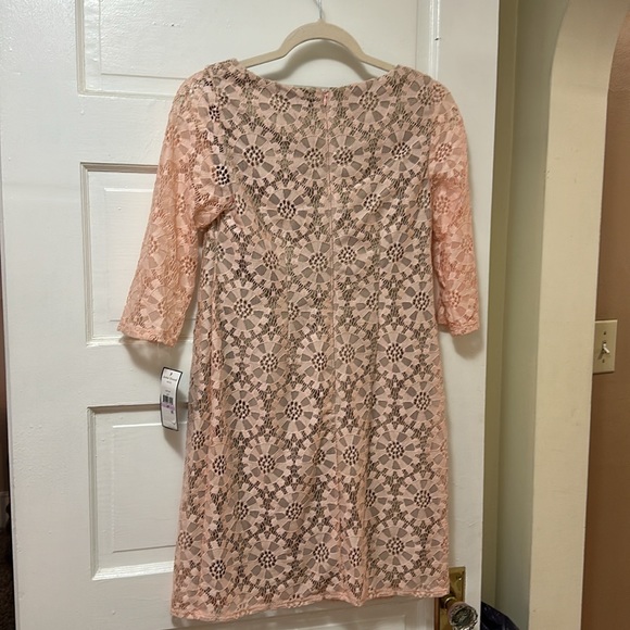 Light Pink Lace Dress - Picture 7 of 9